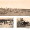 APPEL DU SAHARA – Image 4