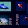 Abysses: L'odyssée des hommes sous la mer – Image 6