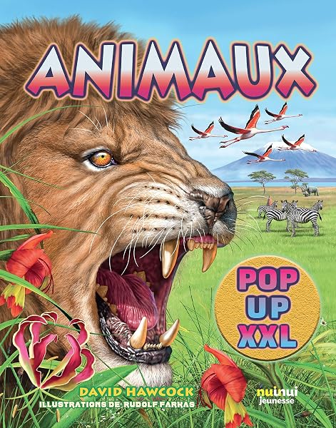 Animaux pop-up XXL 1 Animaux pop-up XXL