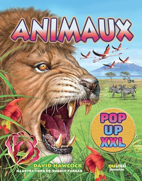 Animaux pop-up XXL 1 Animaux pop-up XXL