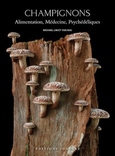 Champignons – alimentation, médecine, psychédéliques