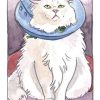Coffret Le Petit tarot des chats – Image 9