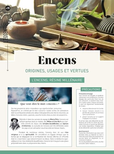 Encens : origines, usages et vertus: L'encens, résine millénaire