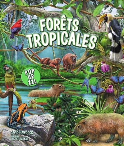 Forêts tropicales – Pop-up XXL
