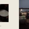 Fromages sauvages – Image 5