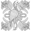 Je médite, Je colorie, Je dessine - Animaux Totems – Image 9