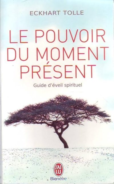 LE POUVOIR DU MOMENT PRESENT.GUIDE DE L'EVEIL SPIRITUEL