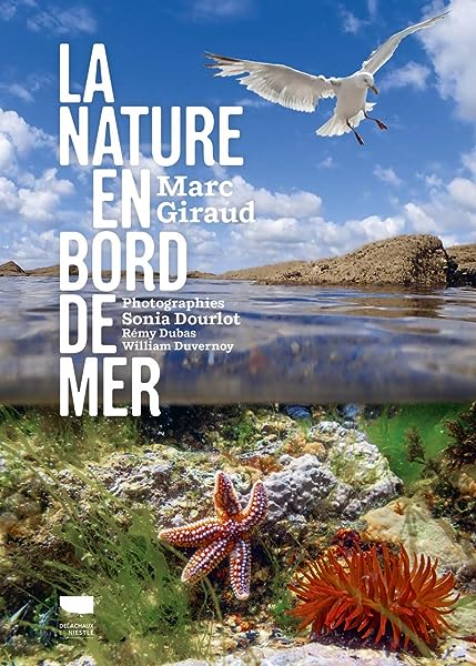 La Nature en bord de mer 1 La Nature en bord de mer