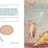 L'art raconte Thésée et le minotaure – Image 3