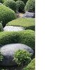 Le Fuzei dans les jardins du Japon – Image 7