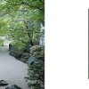 Le Fuzei dans les jardins du Japon – Image 9