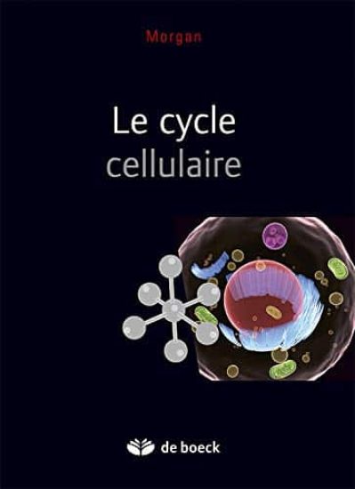 Le cycle cellulaire