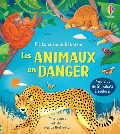 Les animaux en danger – P'tits curieux Usborne – Livre