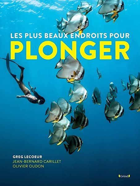Couverture de Les plus beaux endroits pour Plonger