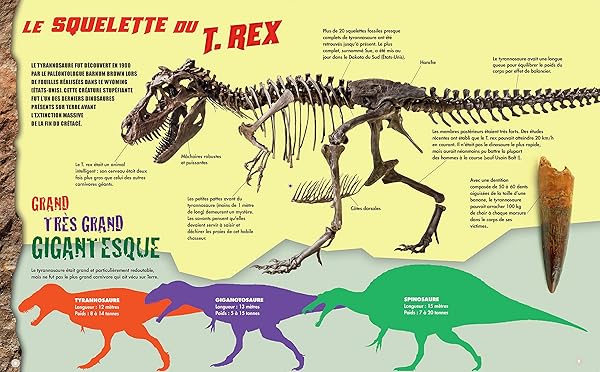 Méga Dino - T-Rex 4 Méga Dino - T-Rex – Image 4
