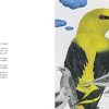 Oiseaux de a à z – Image 3