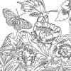 Papillons - coloriages anti-stress – Image 5