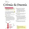 Perles - 35 modèles pour s'amuser – Image 7