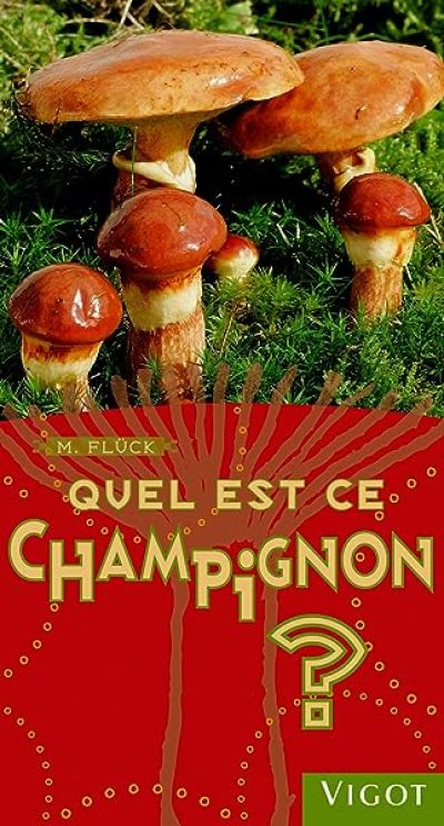 Quel est ce champignon ?