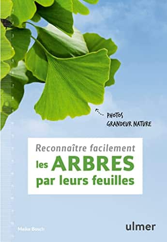 Reconnaître facilement les arbres par leurs feuilles - Photos grandeur nature 1 Reconnaître facilement les arbres par leurs feuilles - Photos grandeur nature