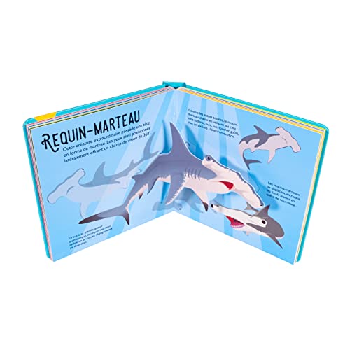 Saisissants pop-up - Requins 4 Saisissants pop-up - Requins – Image 4