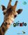 LA GIRAFE