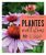 Plantes mellifères