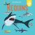 Saisissants pop-up – Requins