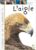 L’aigle
